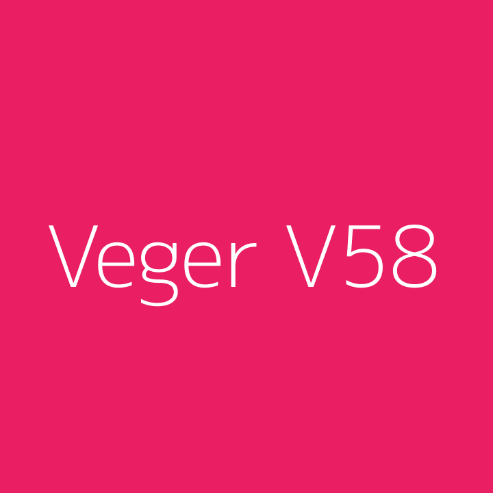 Veger V58 FastCharge