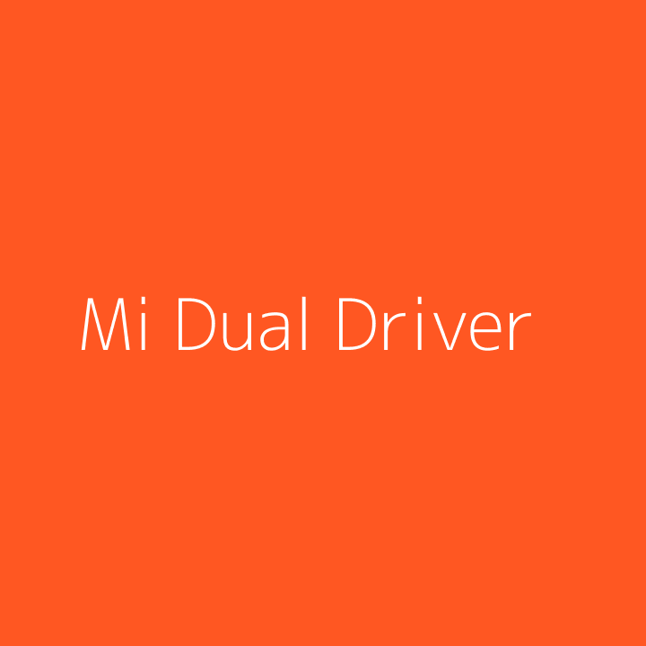 Mi Dual Driver In-Ear Earphones